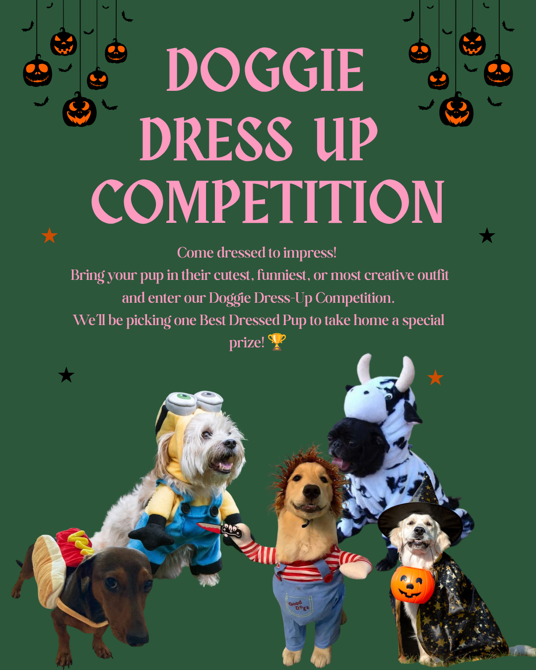 Barks & Bandanas Create for a Cause