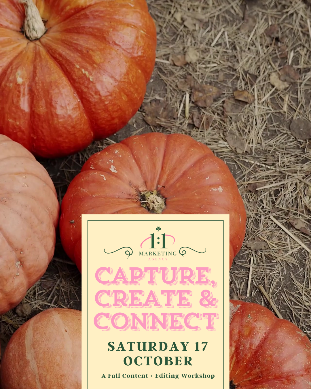 🍂 Capture, Create & Connect: Fall Content + Editing Experience